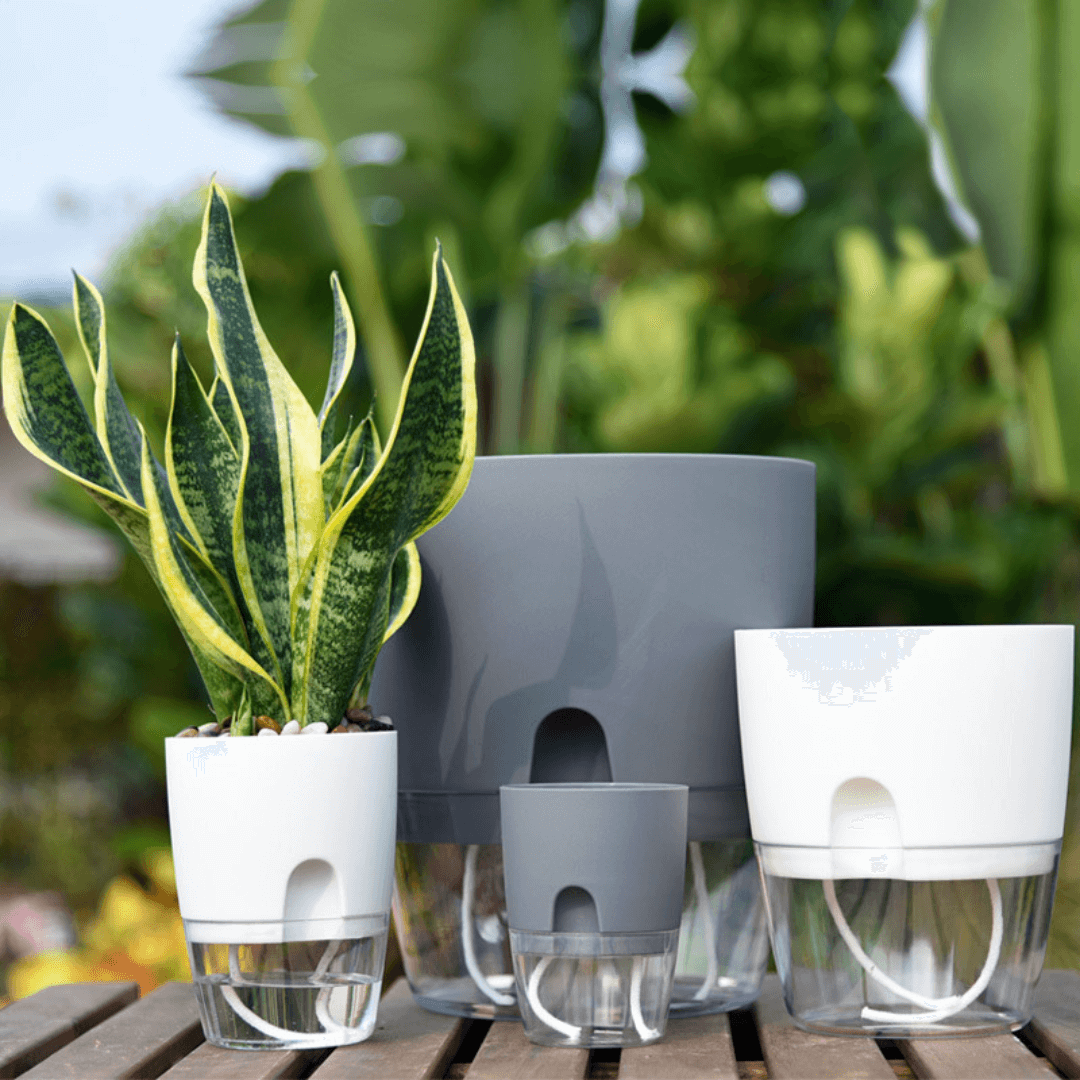 Anoma™ Self Watering Pot