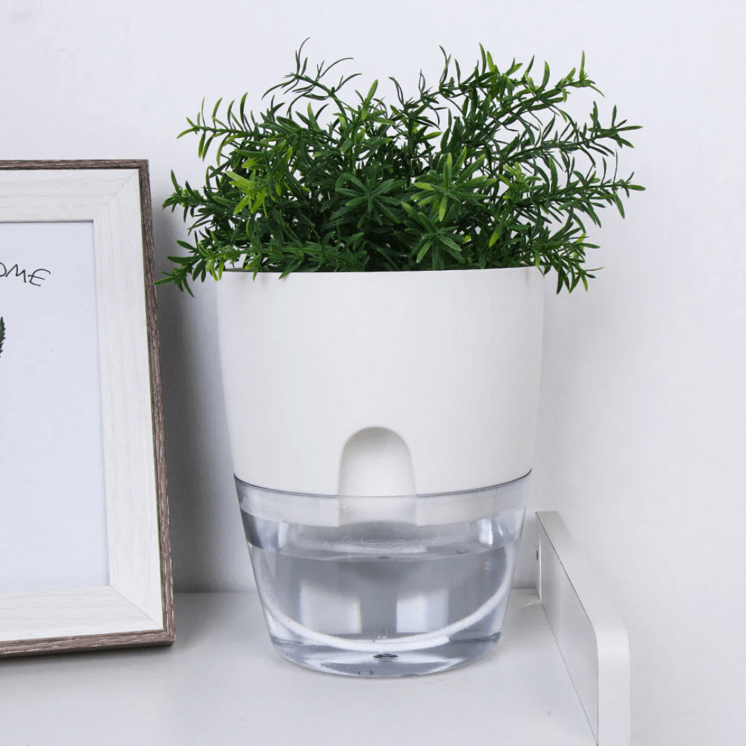 Anoma™ Self Watering Pot