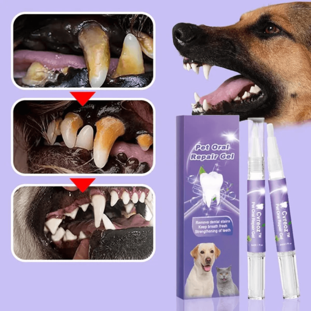 Pet Oral Repair Gel 