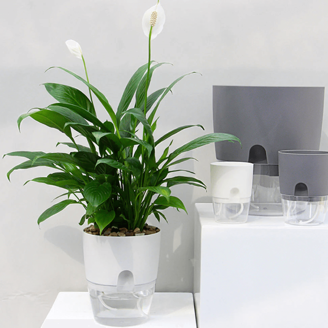 Anoma™ Self Watering Pot